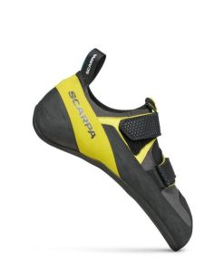 Royholliday.shopf3ecbe01ab 1