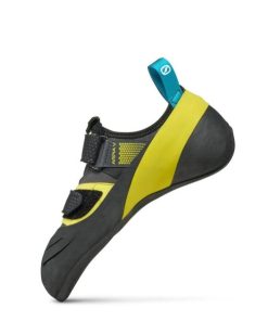 Royholliday.shopf3ecbe01ab 4