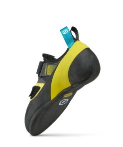 Royholliday.shopf3ecbe01ab 5