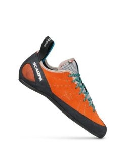 Royholliday.shopf45c3ea784 1