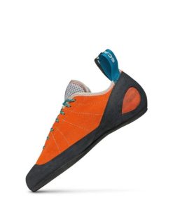 Royholliday.shopf45c3ea784 4