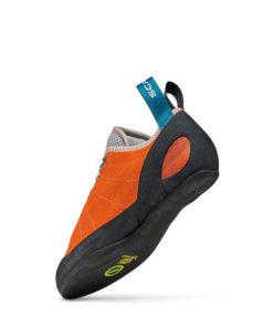 Royholliday.shopf45c3ea784 5