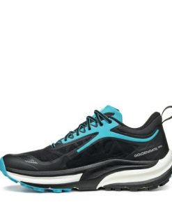 Royholliday.shopf95b07f308 3