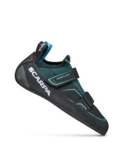 Royholliday.shopfdd36f9b85 1