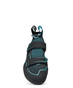 Royholliday.shopfdd36f9b85 3