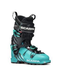 Royholliday.shopfe4b6cda38 1