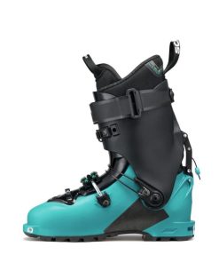 Royholliday.shopfe4b6cda38 3