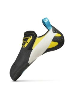 Royholliday.shopfef91f43ba 1