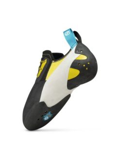 Royholliday.shopfef91f43ba 2