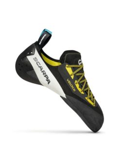 Royholliday.shopfef91f43ba 3