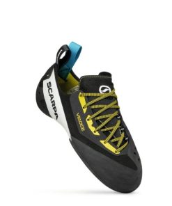 Royholliday.shopfef91f43ba 4