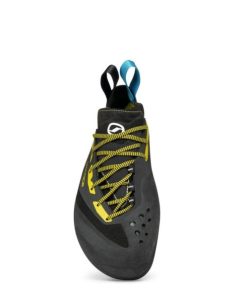 Royholliday.shopfef91f43ba 5